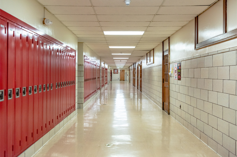 panic buttons, as part of a school security system, enable you to lock down all access points into the building instantly