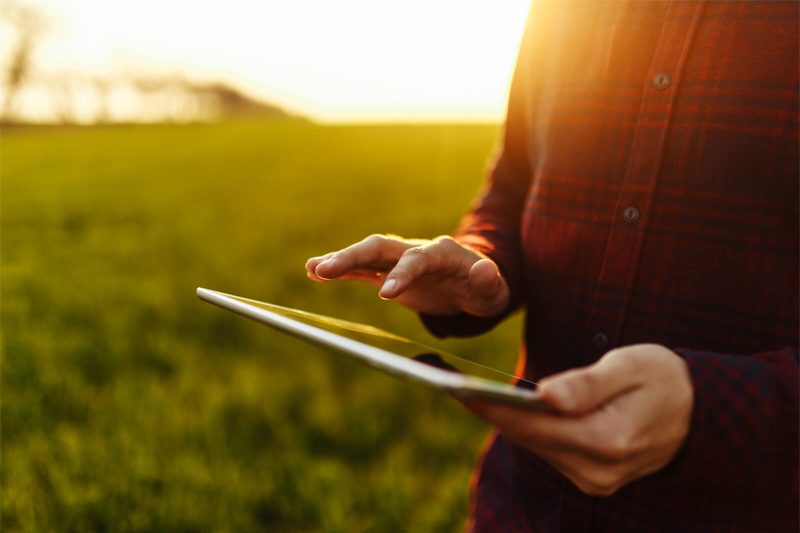 A farmer uses a tablet to monitor his farm activity.