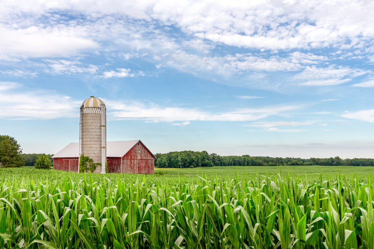 commercial security for farms